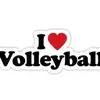 love_volei2