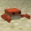n0sequehacer