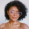 vivii_emy
