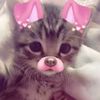 taurusvx_28