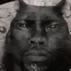 violence_editor