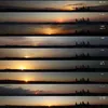 sonsuz_para