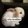 luvmonokun