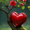 user69300161256276