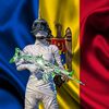 toxfenix1