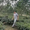 phongtrancsgt