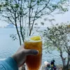 goyup6