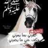 user2318393541