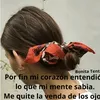 lunamorga2