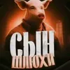 shlux65