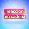 Reacción en cadena