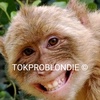 TokProBlondie