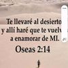 romitaliciaga