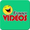 funny_video549