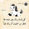 user8146546332430