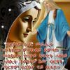 selama460