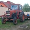 nicuradu56