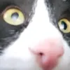 xgjxhfx