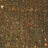 goldstardust2