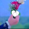 ahmed.zakir3