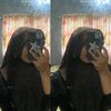 ama_hunou
