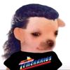 d_cruz67