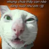luonvuitui.121