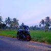samsul.arifin735