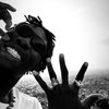 vello_sly