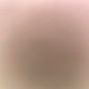 user1861261999056