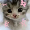 kot.muwi.meuw