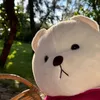 suaiuowii
