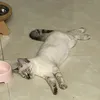 Thích tiêu tiền