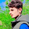 malikkashif8817