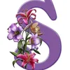 صبوح