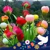 tinahaile0