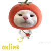 idham_311