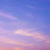 a_0824_ss2239003267580