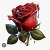 mawarmerah2890