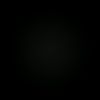 rojasf34