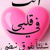 user4950208629938