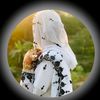 aroojshoaib6