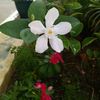 userpts782003.smile1
