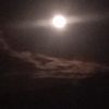 ahmed.omar3839