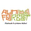 ayniforest