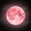 pink_.moon._