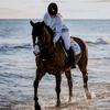 ✰ Equestrian Audios ✰