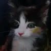 isakskjkakekg