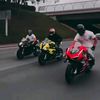 mlantbrzp05