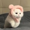madeline_nicole_2000